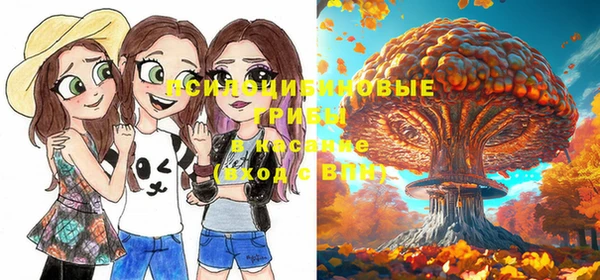 прущая мука Бронницы