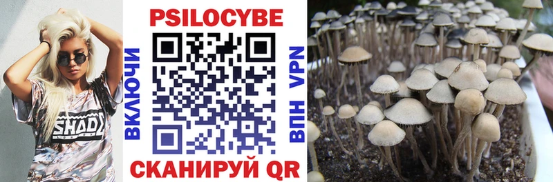 Галлюциногенные грибы Magic Shrooms Певек